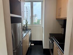 The Hermitage (D10), Apartment #532103981